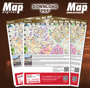 Download the Bugis PDF Map